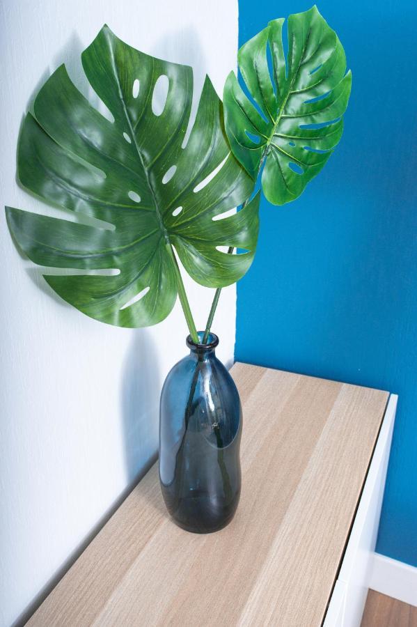 Le Blue Bird - Hypercentre - Gare - Toulousecozyflat Apartment Luaran gambar